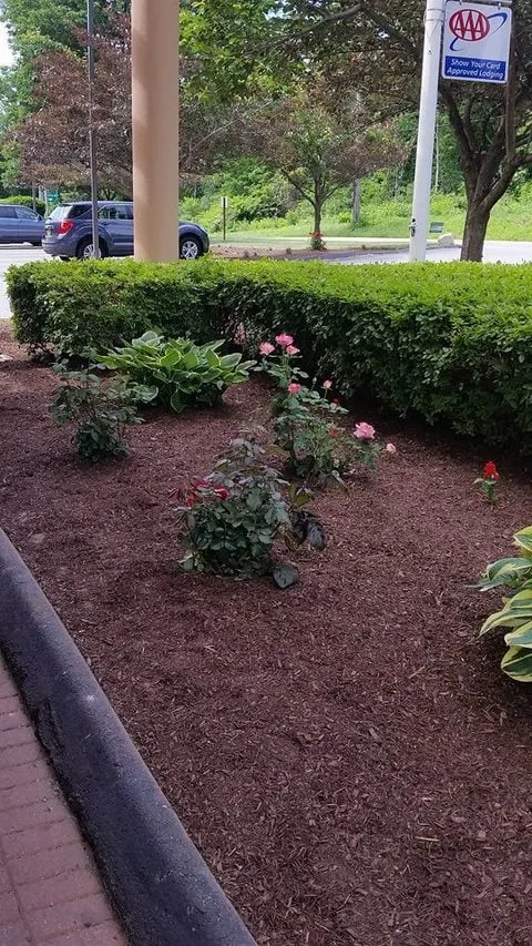 Professional outdoor landscaping for year-round maintenance across Norwich, CT - Torillo's Landscaping