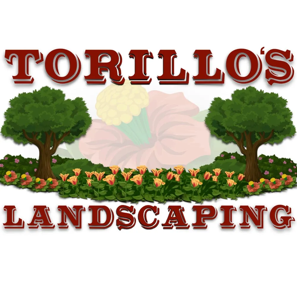 Trusted lawn care service near you across Norwich, CT - Torillo's Landscaping