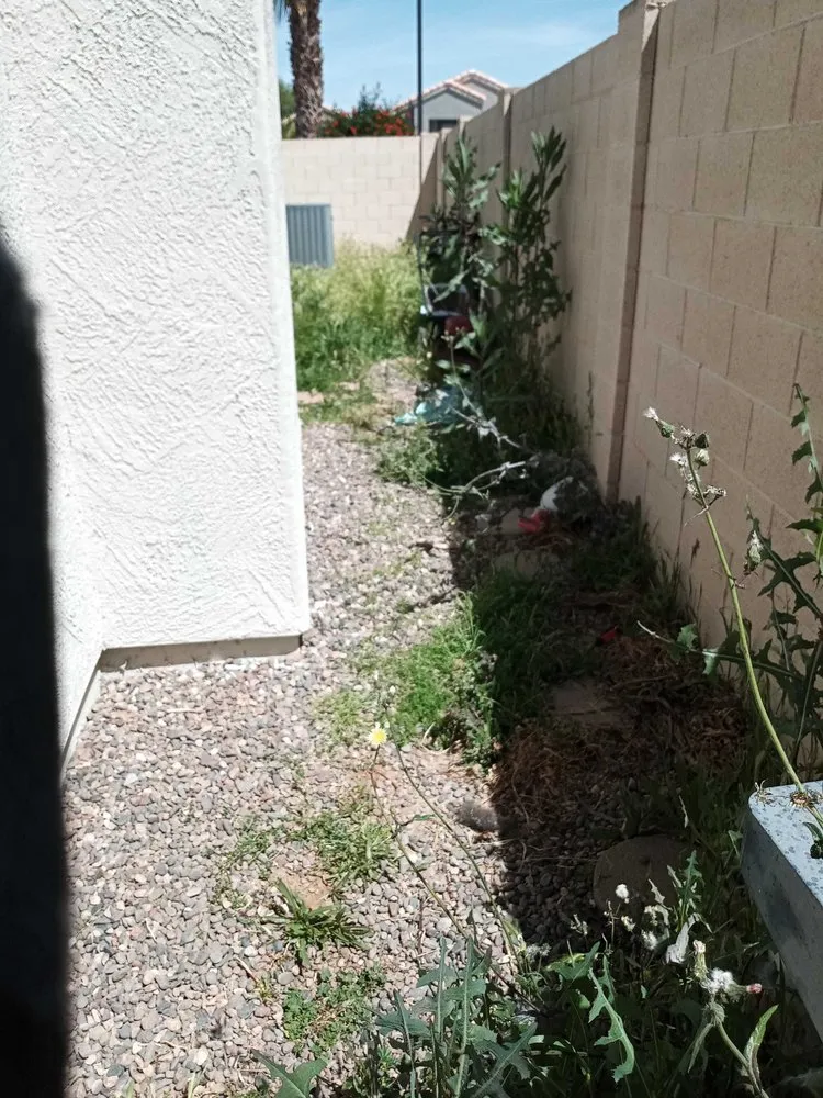 Reliable landscape installation experts serving Mesa, AZ - Torino's Landscaping