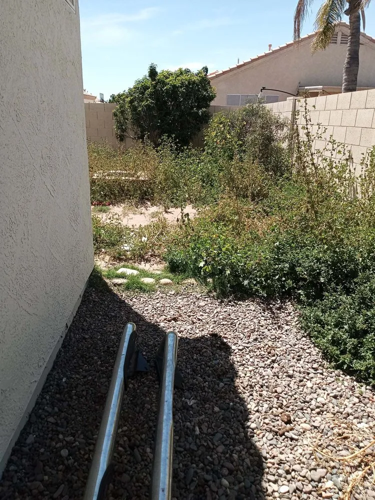 Affordable outdoor landscaping in Mesa, AZ by Torino's Landscaping