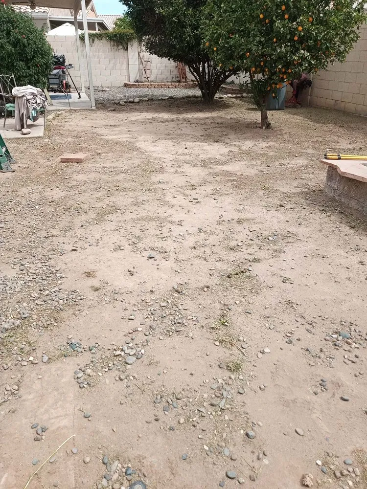 Professional residential landscaping experts serving Mesa, AZ - Torino's Landscaping