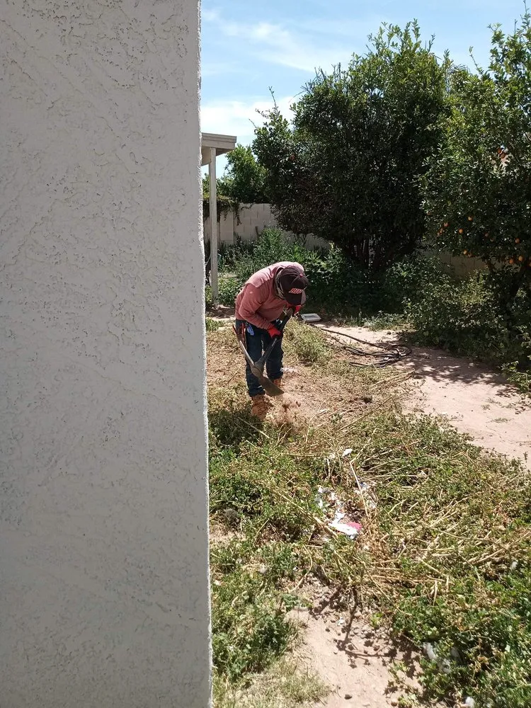 Reliable outdoor landscaping with custom design across Mesa, AZ - Torino's Landscaping