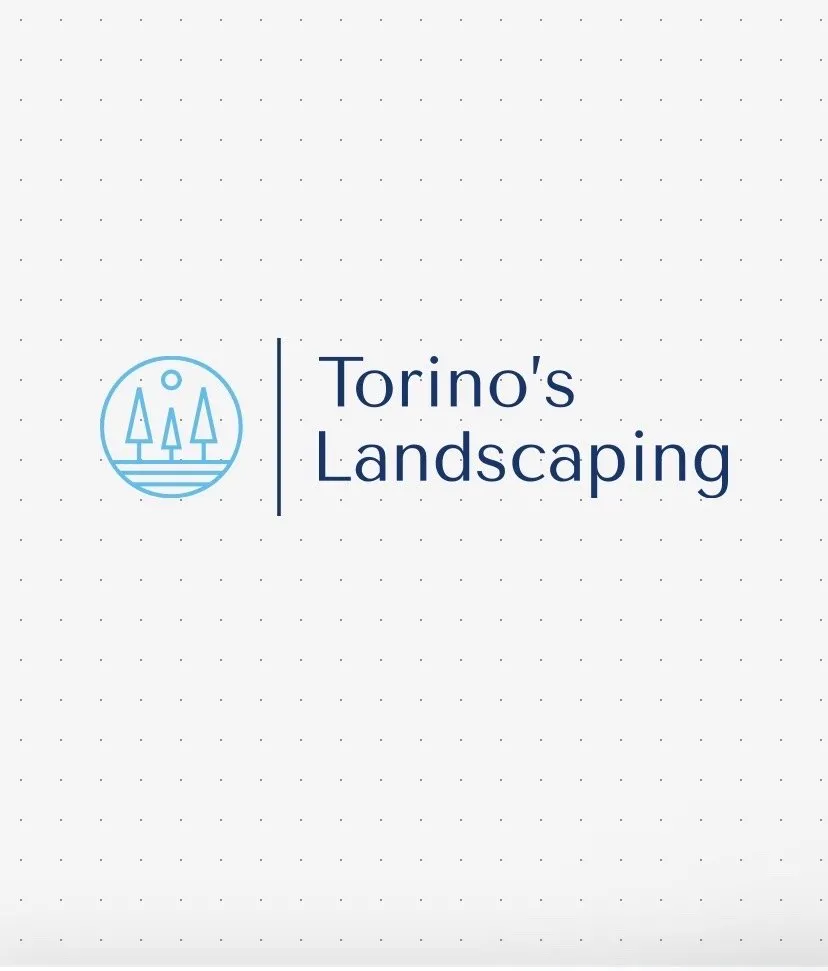 Professional yard cleanup service for year-round maintenance across Mesa, AZ - Torino's Landscaping