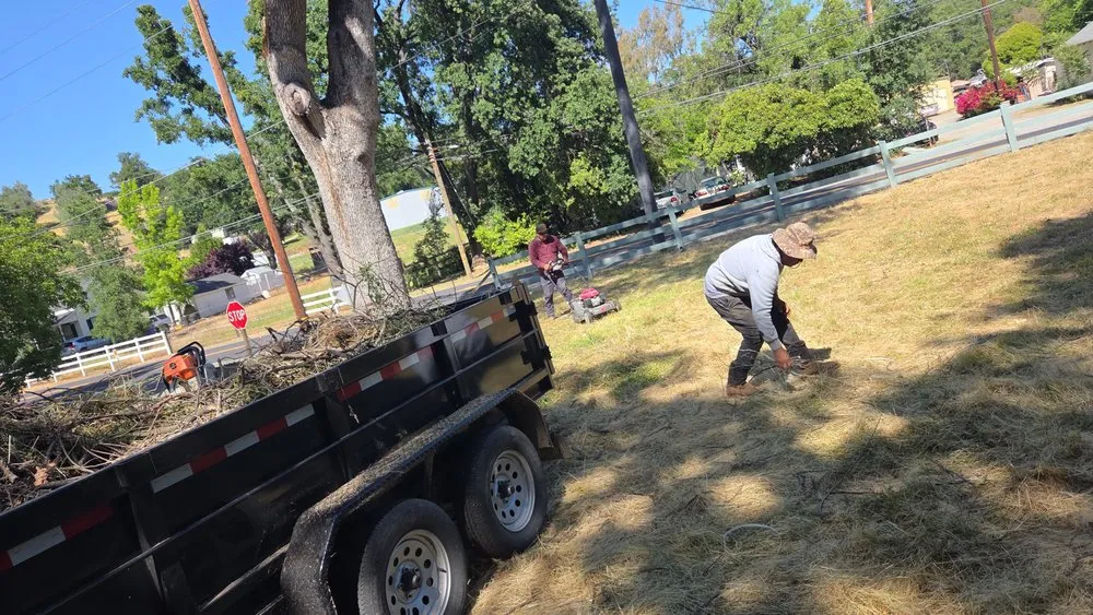 Trusted yard maintenance near you in Ripon, CA by Toritos