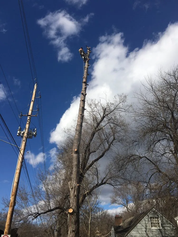 Professional lawn care service for homes in Kansas City, KS by Tornado Lawn & Tree Service