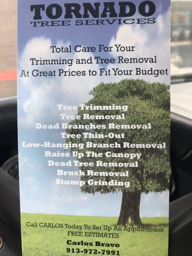 Top-rated yard cleanup service for homes across Kansas City, KS - Tornado Lawn & Tree Service