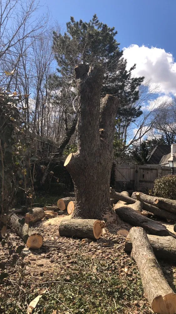 Custom lawn care service in Kansas City, KS - Tornado Lawn & Tree Service