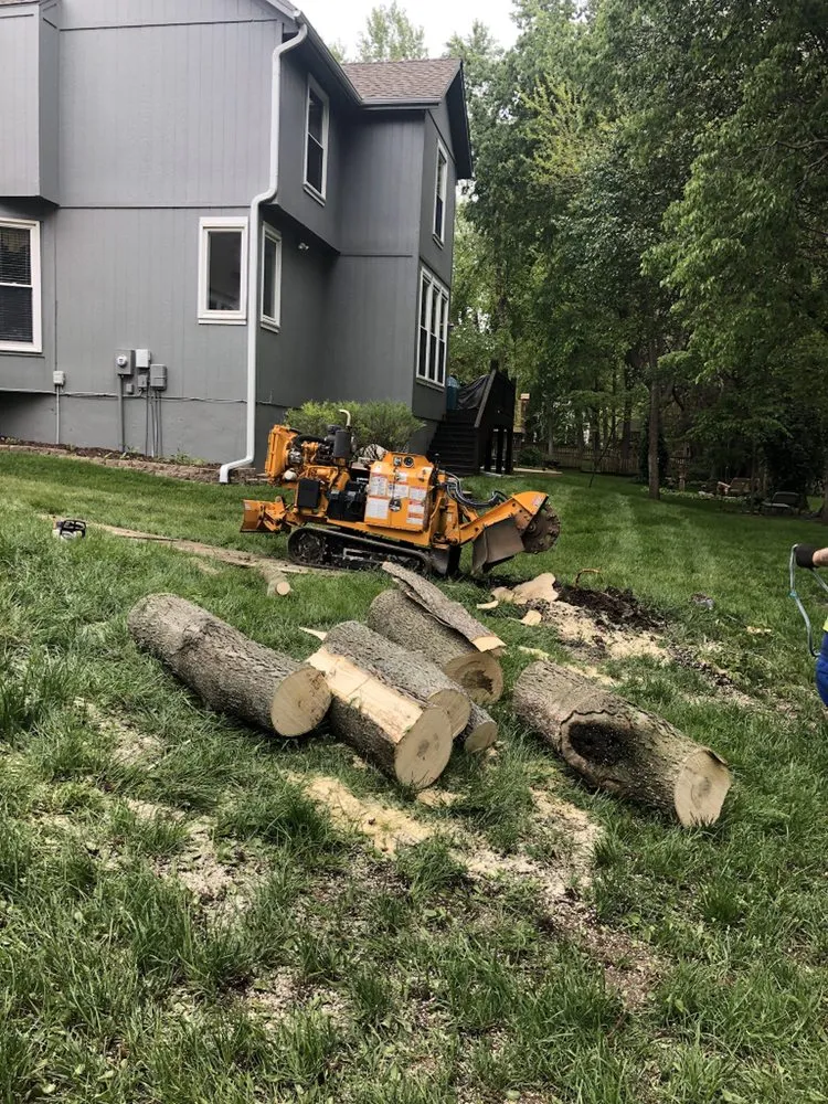 Professional landscape design in Kansas City, KS - Tornado Lawn & Tree Service