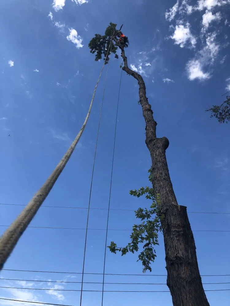 Trusted outdoor landscaping in Kansas City, KS - Tornado Lawn & Tree Service