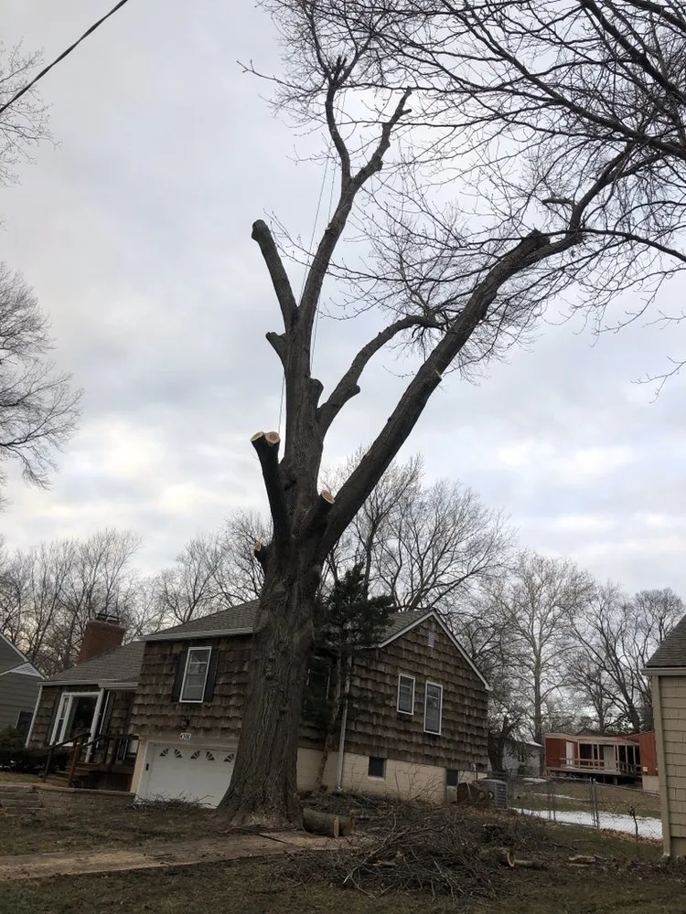 Professional outdoor landscaping in Kansas City, KS - Tornado Lawn & Tree Service