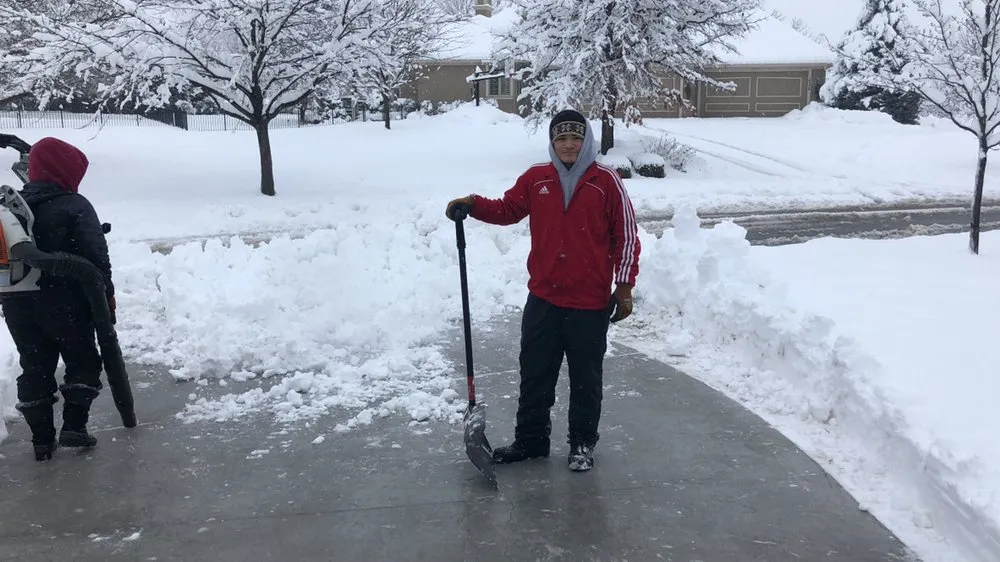 Trusted lawn care service in Kansas City, KS by Tornado Lawn & Tree Service