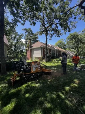 Tornado Lawn & Tree Service Logo