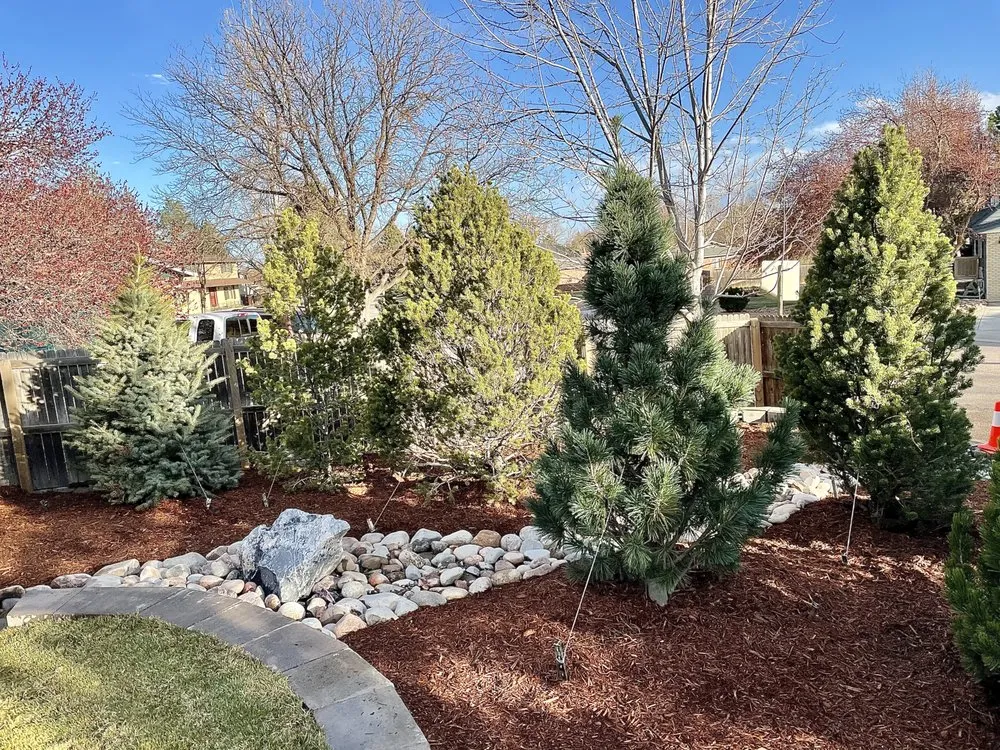 Local lawn care service in Keenesburg, CO by Toro Landscape