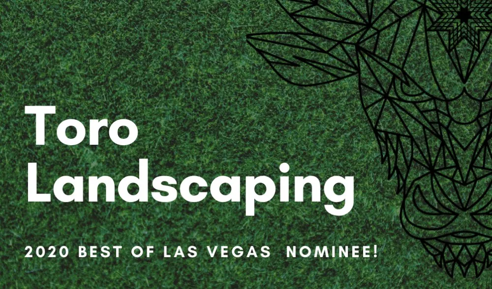 Custom residential landscaping in Las Vegas, NV - Toro Landscaping