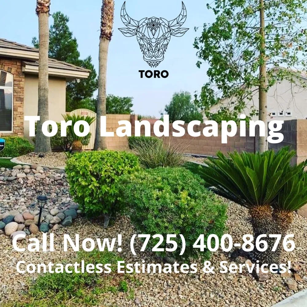 Local yard maintenance in Las Vegas, NV by Toro Landscaping