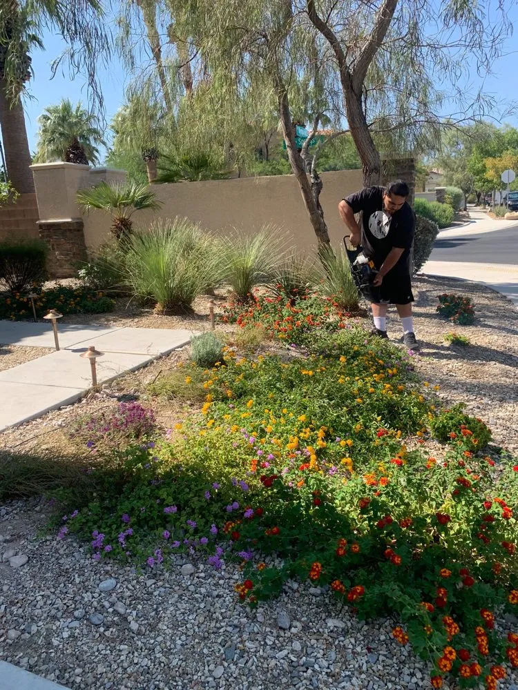 Expert outdoor landscaping with custom design across Las Vegas, NV - Toro Landscaping