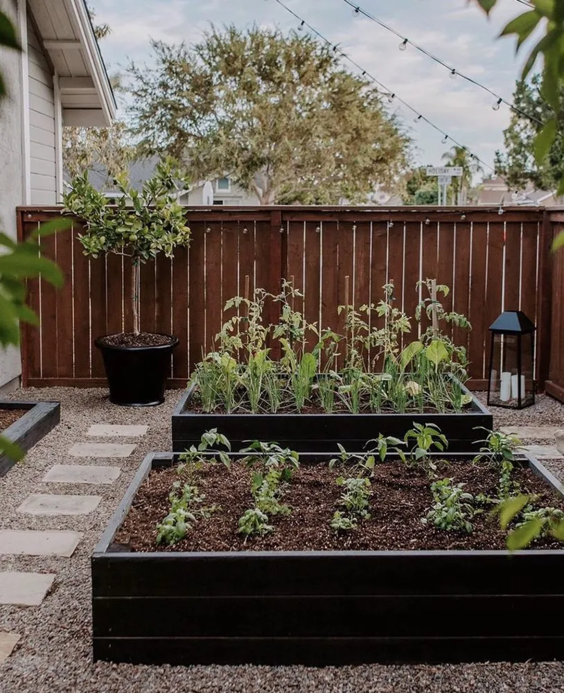 Expert landscaping services for year-round maintenance across Salinas, CA - Toro Landscaping