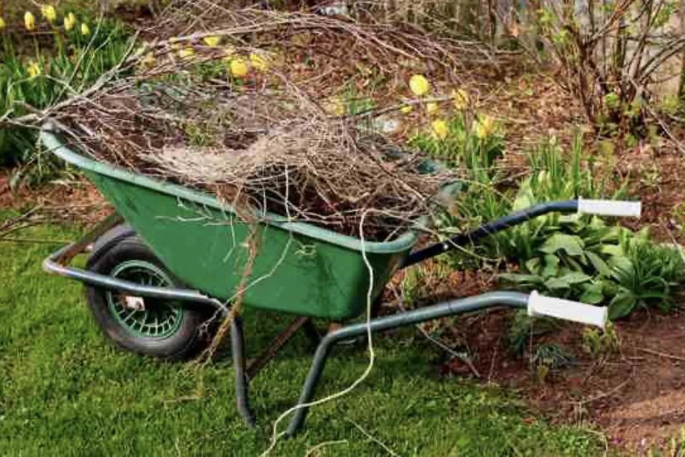 Affordable lawn mowing service in Salinas, CA by Toro Landscaping