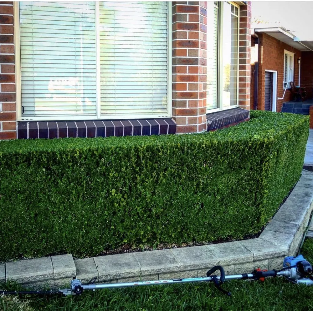 Top-rated outdoor landscaping in Salinas, CA by Toro Landscaping