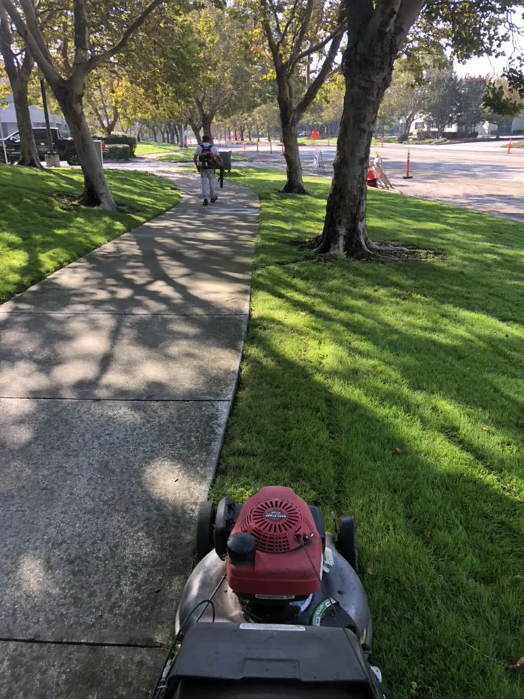 Professional garden landscaping experts serving Salinas, CA - Toro Landscaping