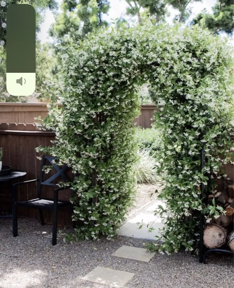 Local residential landscaping for homes across Salinas, CA - Toro Landscaping