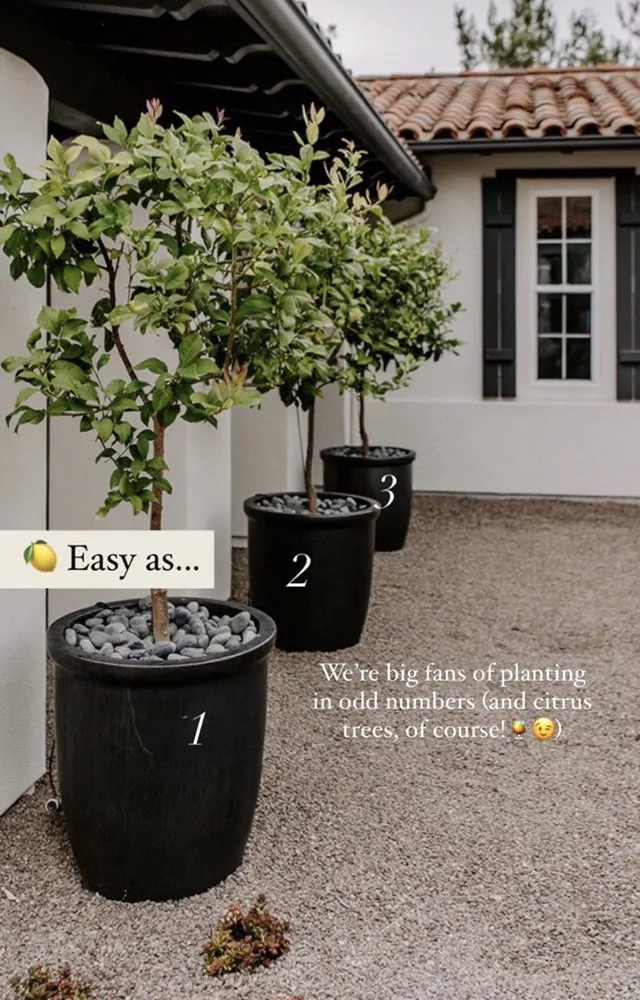 Trusted yard maintenance in Salinas, CA - Toro Landscaping