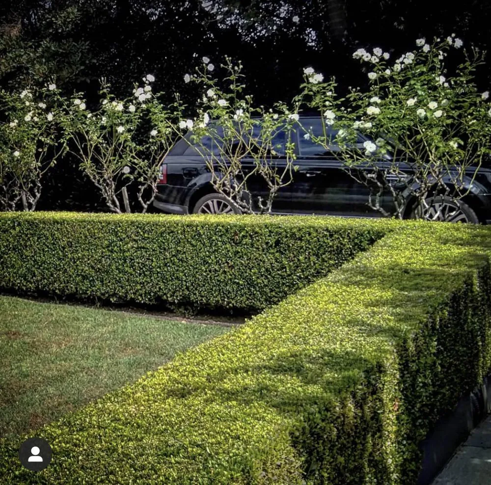 Professional residential landscaping for residential properties in Salinas, CA by Toro Landscaping