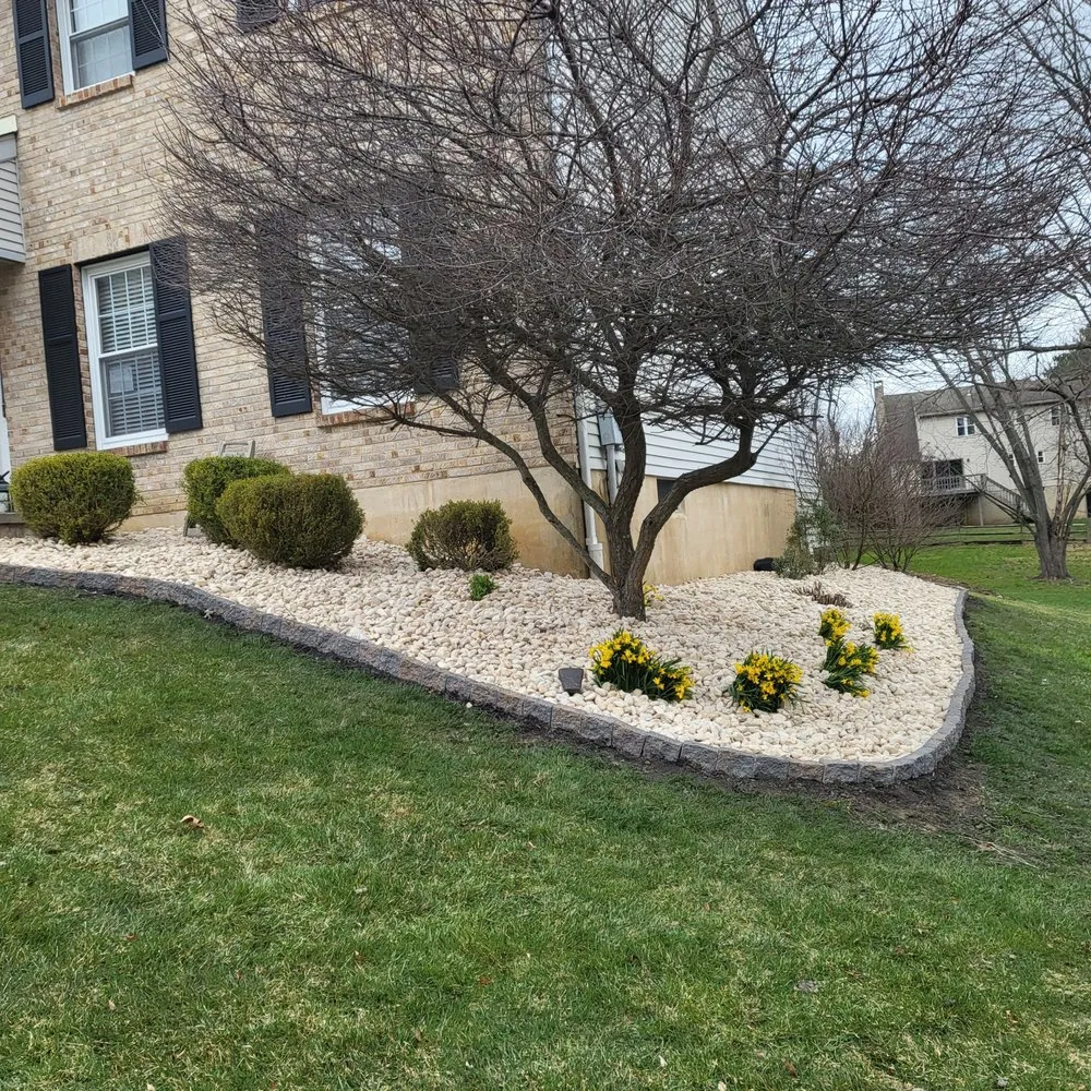 Expert yard cleanup service in Wilmington, DE - Toro Landscaping