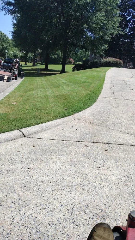 Expert lawn care service in Birmingham, AL by Toro Lawn Care
