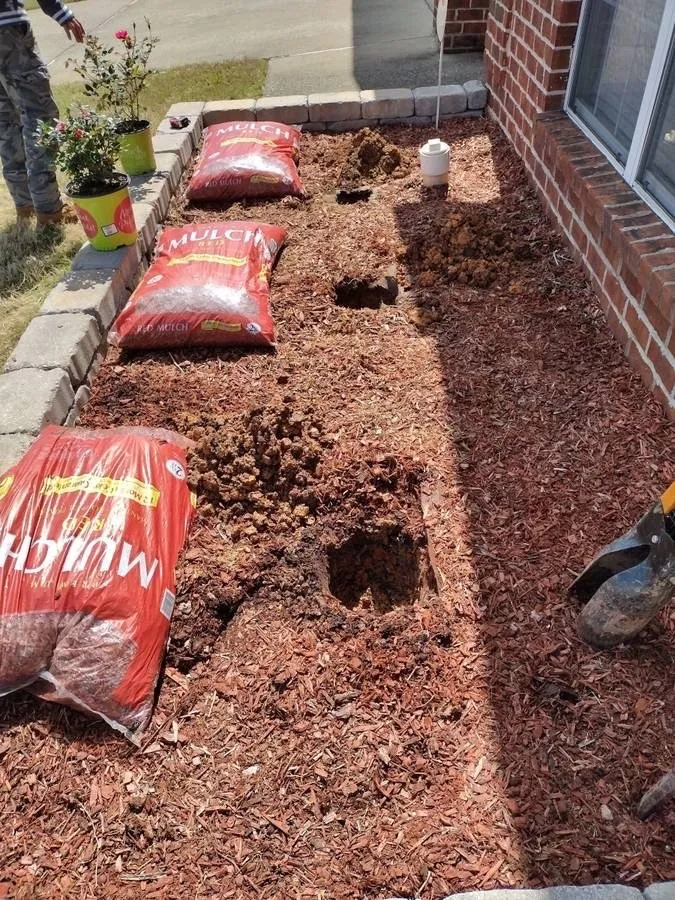 Top-rated residential landscaping in Birmingham, AL by Toro Lawn Care