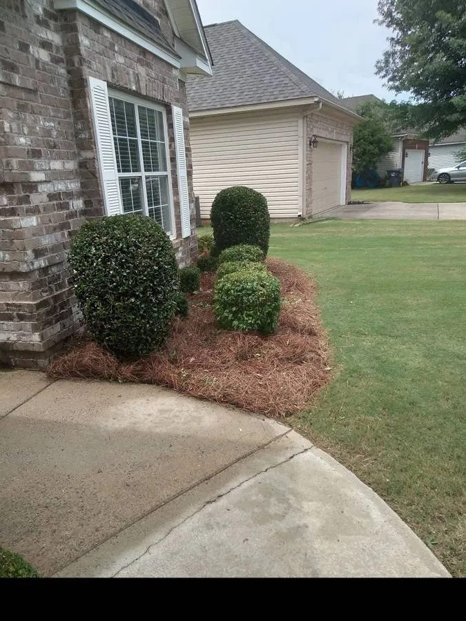 Reliable lawn mowing service experts serving Birmingham, AL - Toro Lawn Care