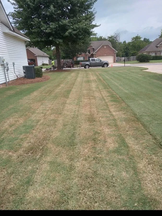 Expert outdoor landscaping in Birmingham, AL - Toro Lawn Care