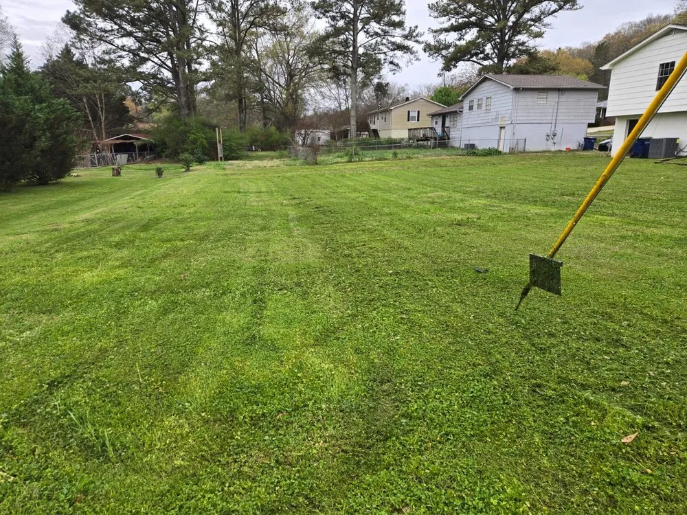 Affordable outdoor landscaping experts serving Birmingham, AL - Toro Lawn Care