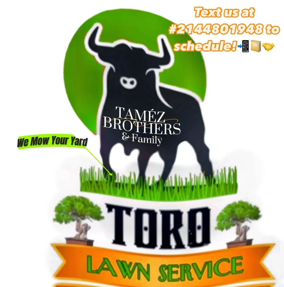 Professional outdoor landscaping for residential properties in Grand Prairie, TX by Toro Lawn Care