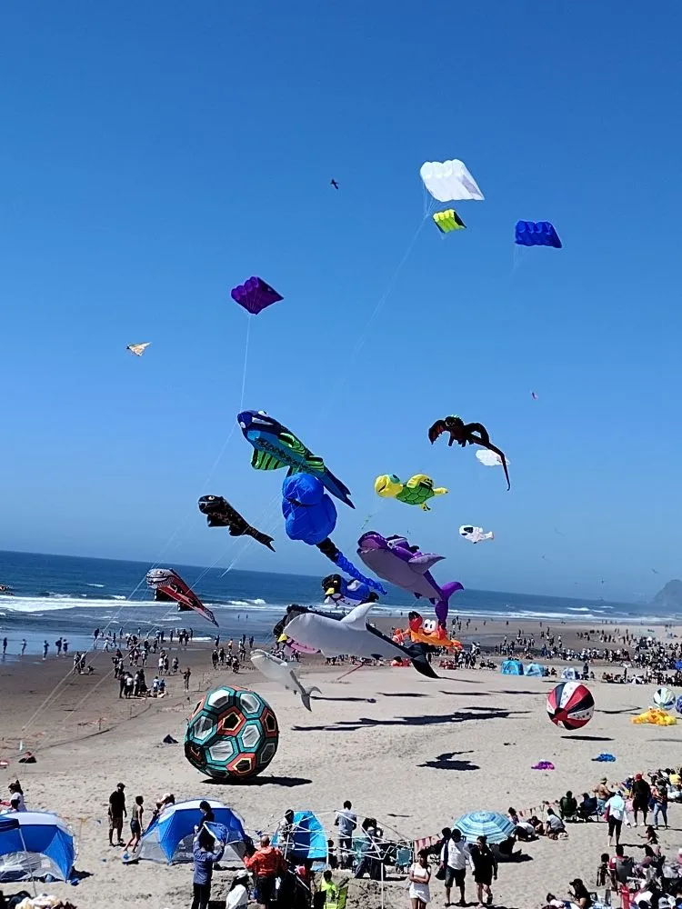 Top-rated lawn mowing service in Vancouver, WA - Toros Construction and Landscaping