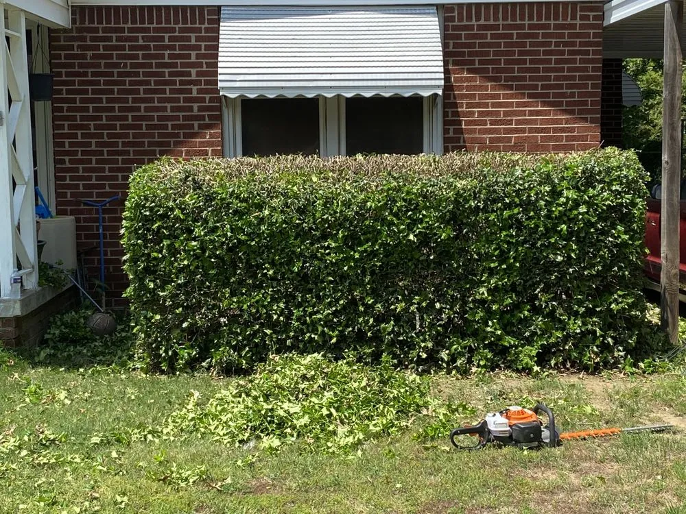 Professional yard maintenance experts serving Tulsa, OK - Toro’s Landscape