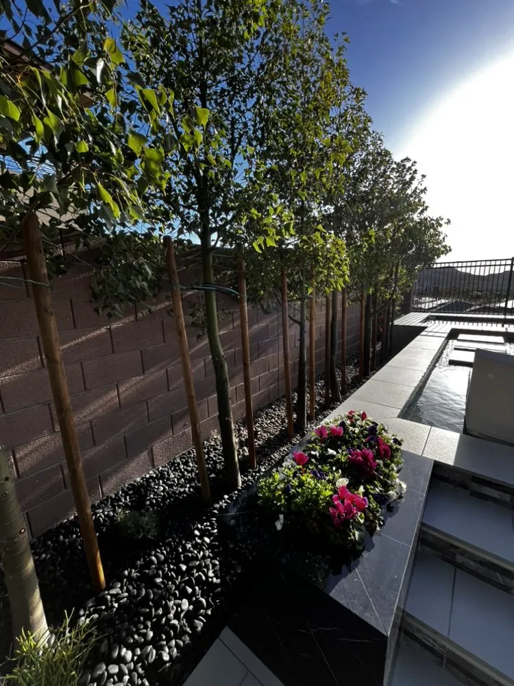 Expert yard cleanup service experts serving Las Vegas, NV - Toros Landscaping