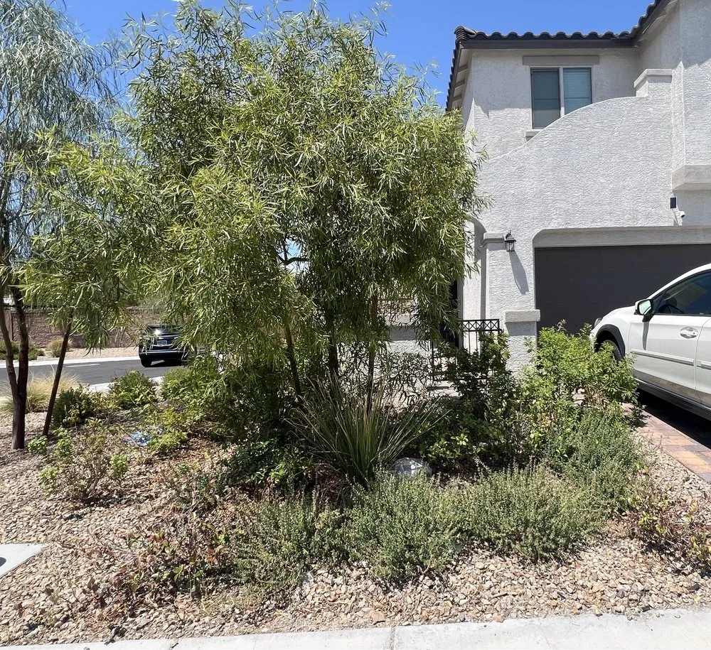 Trusted lawn care service experts serving Las Vegas, NV - Toros Landscaping