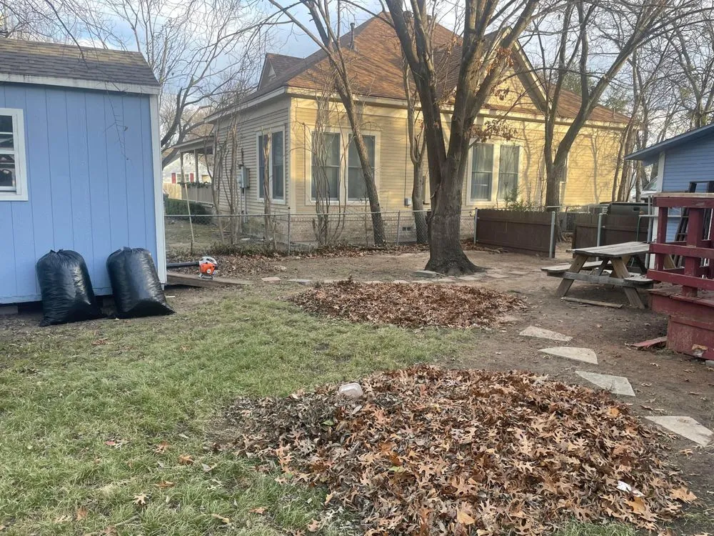 Professional lawn care service in Sanger, TX - Toro's Lawn Care Services