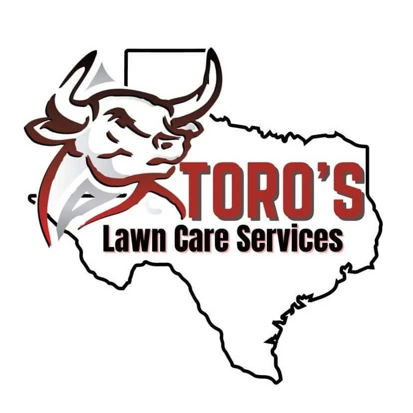 Expert yard cleanup service in Sanger, TX - Toro's Lawn Care Services