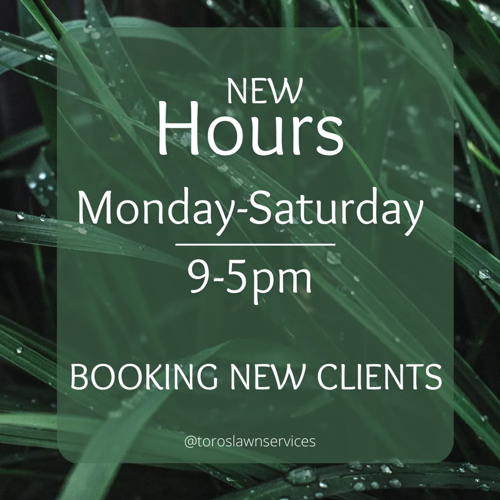 Affordable yard maintenance near you in Decatur, GA by Toros Lawn Services