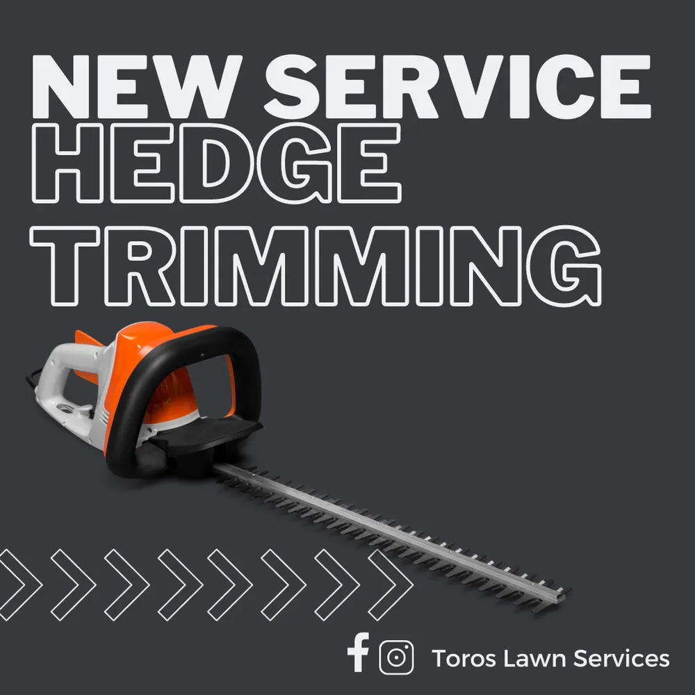 Expert landscape design near you in Decatur, GA by Toros Lawn Services