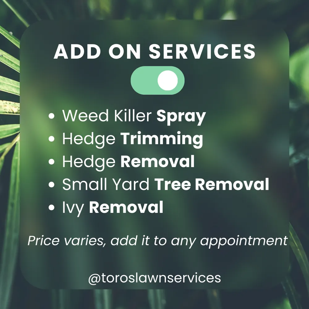 Reliable landscape design experts serving Decatur, GA - Toros Lawn Services