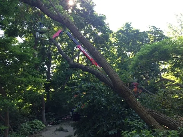 Expert residential landscaping in Omaha, NE by Torpy Tree Service