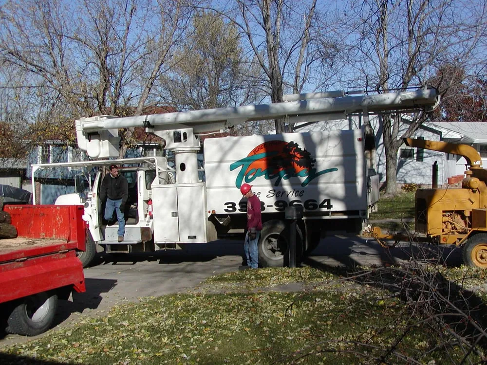 Affordable lawn mowing service for outdoor upgrades in Omaha, NE by Torpy Tree Service