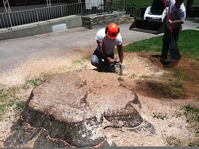 Professional landscape installation in Omaha, NE - Torpy Tree Service