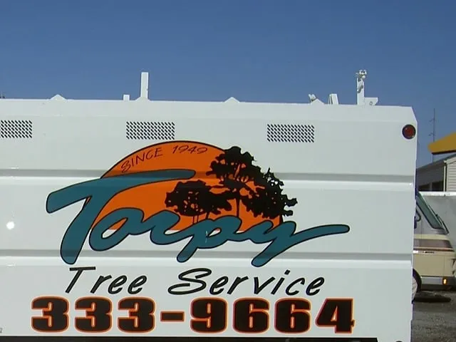 Professional landscape installation in Omaha, NE by Torpy Tree Service