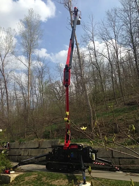 Affordable landscape installation experts serving Omaha, NE - Torpy Tree Service