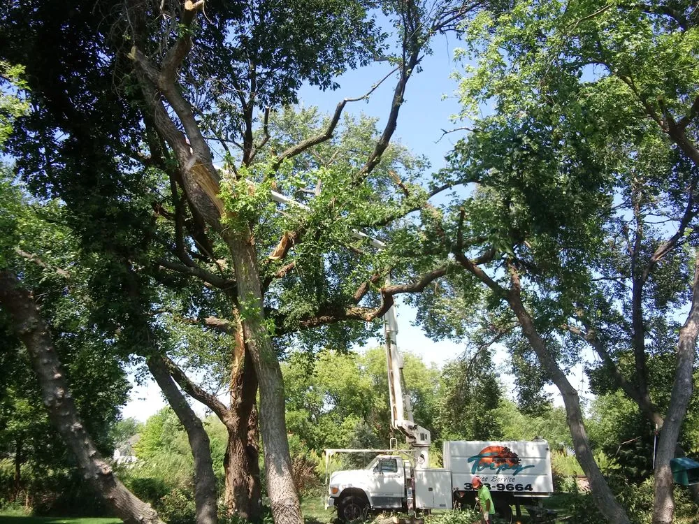 Local landscaping services in Omaha, NE - Torpy Tree Service