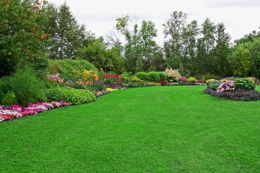 Professional landscaping services in Palos Verdes Peninsula, CA - Torrentera Landscape - Ruben's Lawn Service